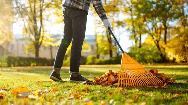 redwebHerbst