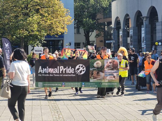 presse-foto-augustinerplatz (1)