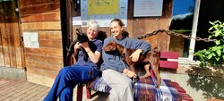 Tierheim Altnau unter neuer Leitung